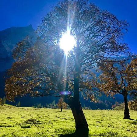 Menthof זיפלד אין טירול