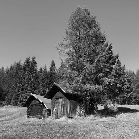 מלון Menthof זיפלד אין טירול