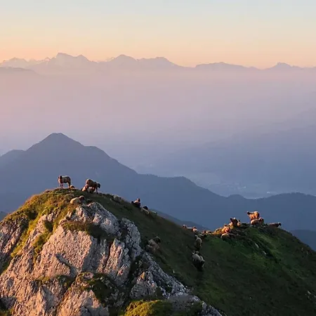 מלון Menthof זיפלד אין טירול