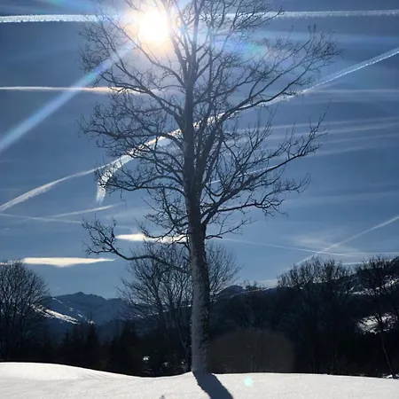 Menthof זיפלד אין טירול