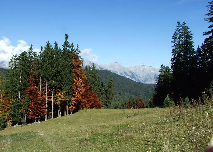 门特霍夫酒店 酒店
