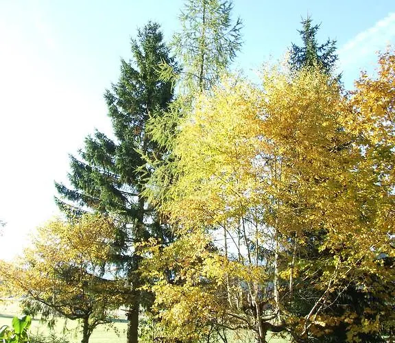 Menthof سيفيلد ان تيرول