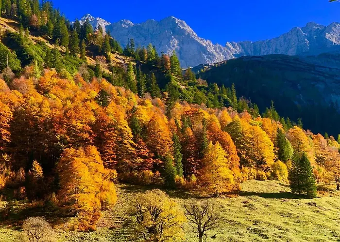 Hotel Menthof Seefeld in Tirol