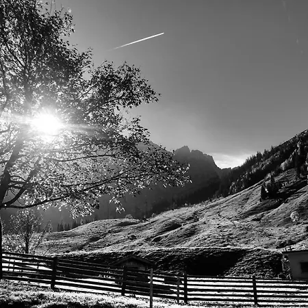 Menthof فندق
